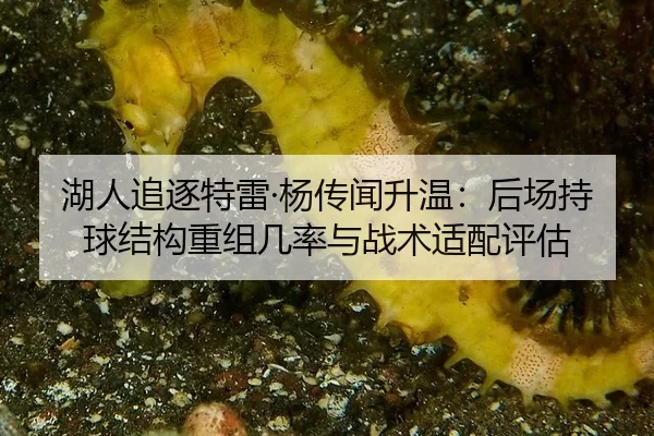 hu-ren-zhui-zhu-te-lei-yang-chuan-wen-sheng-wen-hou-chang-chi-qiu-jie-gou-chong-zu-ji-lv-yu-zhan-shu-shi-pei-ping-gu-2-359.jpg